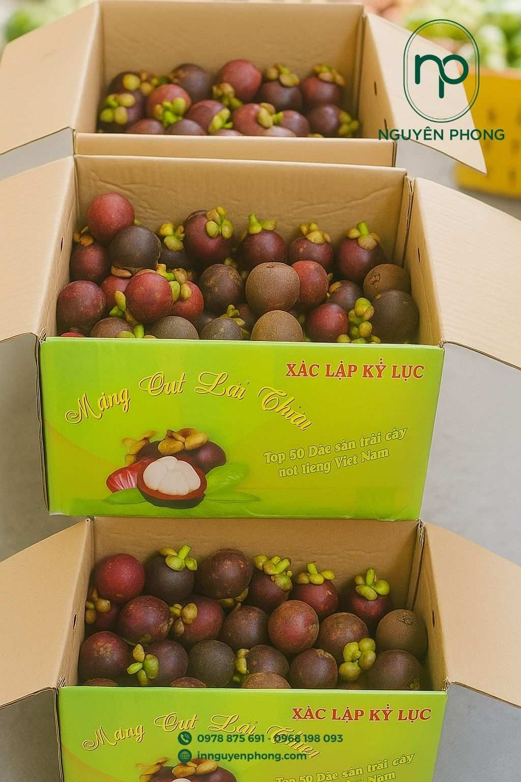 Mẫu thùng carton đựng măng cụt in logo thương hiệu